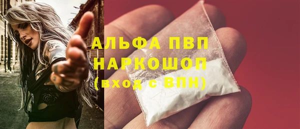 гашик Майский