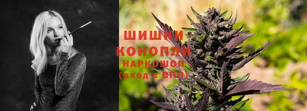 гашик Майский