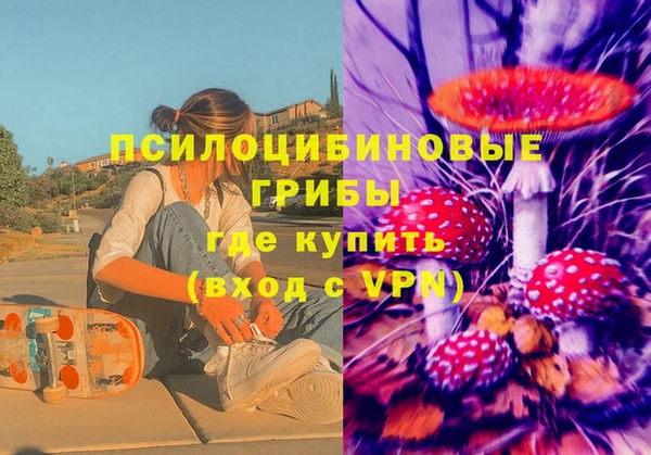 гашик Майский