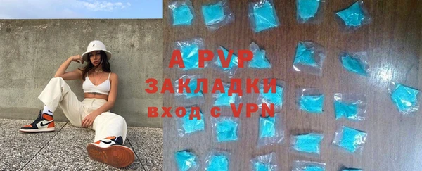 гашик Майский