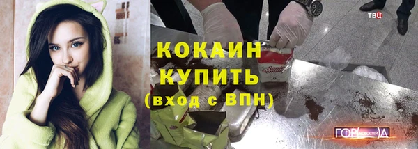 гашик Майский