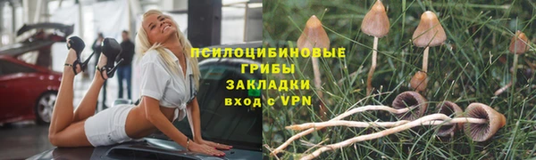 гашик Майский