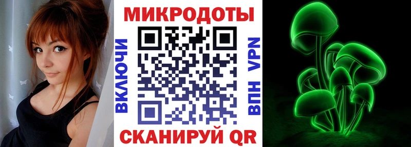 Псилоцибиновые грибы Cubensis Дно