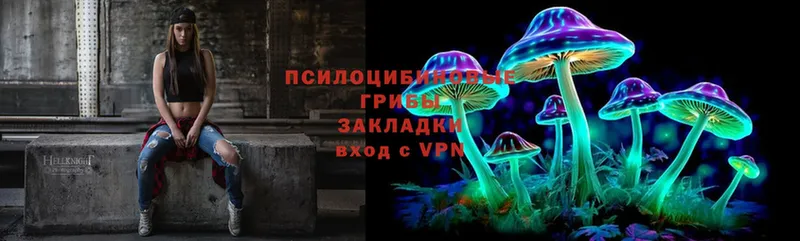 это Telegram  Дно  Псилоцибиновые грибы Magic Shrooms 